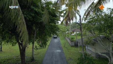 Bewoners van de Balinese batcave